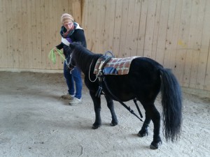 Der biko® Pferdeexpander ist für alle Pferdegrößen geeignet!